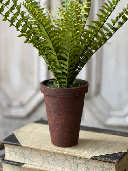 Foundry Potted Fern | 12" | Boston | NOT CURRENTLY IN STOCK - ETA December