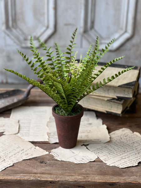 Foundry Potted Fern | 12" | Boston | NOT CURRENTLY IN STOCK - ETA December