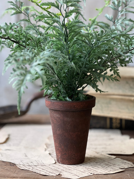 Foundry Potted Fern | 14" | Cutleaf | NOT CURRENTLY IN STOCK - ETA December