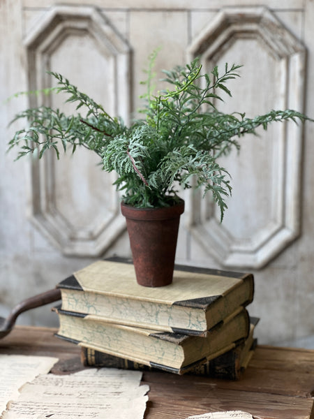Foundry Potted Fern | 14" | Cutleaf | NOT CURRENTLY IN STOCK - ETA December