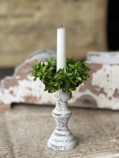 Lyric Boxwood Candle Ring | 4.5" | NOT CURRENTLY IN STOCK - ETA December
