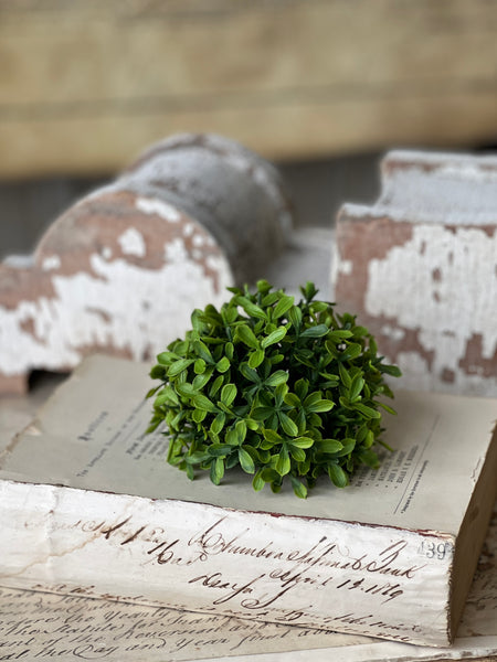 Lyric Boxwood Half Sphere | 4.5" | NOT CURRENTLY IN STOCK - ETA December