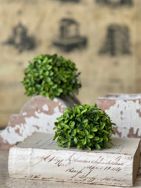 Lyric Boxwood Half Sphere | 4.5" | NOT CURRENTLY IN STOCK - ETA December