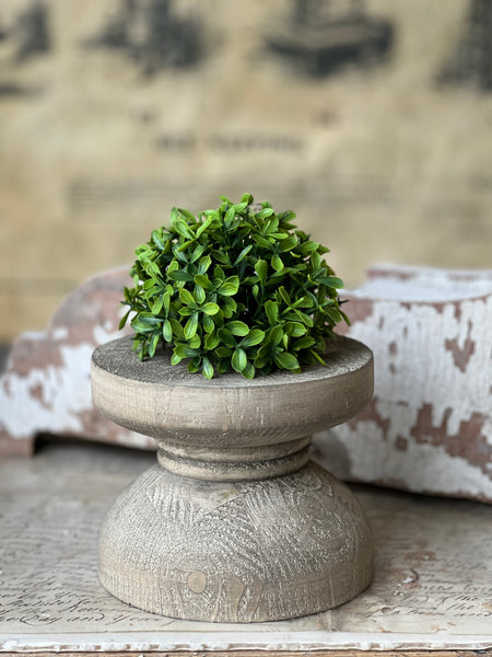 Lyric Boxwood Half Sphere | 4.5" | NOT CURRENTLY IN STOCK - ETA December