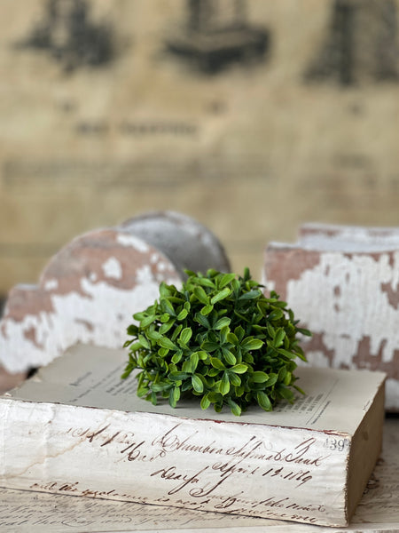 Lyric Boxwood Half Sphere | 4.5" | NOT CURRENTLY IN STOCK - ETA December