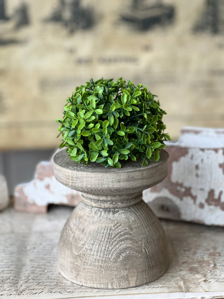 Lyric Boxwood Half Sphere | 5.5" | NOT CURRENTLY IN STOCK - ETA December