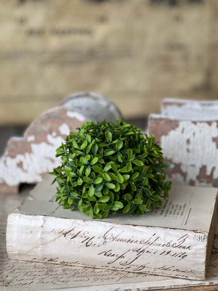Lyric Boxwood Half Sphere | 5.5" | NOT CURRENTLY IN STOCK - ETA December