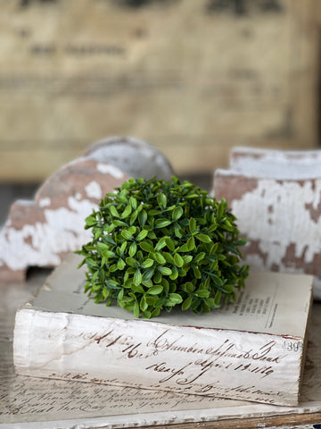 Lyric Boxwood Half Sphere | 5.5" | NOT CURRENTLY IN STOCK - ETA December