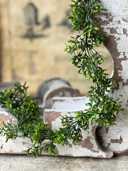 Lyric Boxwood Garland | 6' | NOT CURRENTLY IN STOCK - ETA December