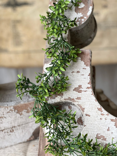 Lyric Boxwood Garland | 6' | NOT CURRENTLY IN STOCK - ETA December