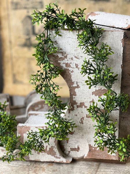 Lyric Boxwood Garland | 6' | NOT CURRENTLY IN STOCK - ETA December
