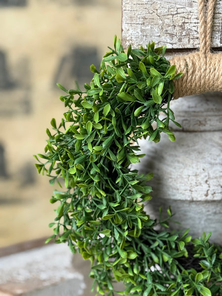 Lyric Boxwood Hanging Wreath | 11.5" | NOT CURRENTLY IN STOCK-New For Spring 2027!