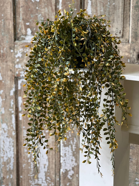Claremont Hanging Basket | 28" | Leaf