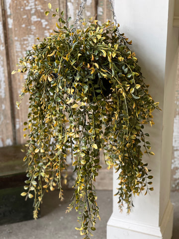 Claremont Hanging Basket | 28" | Leaf