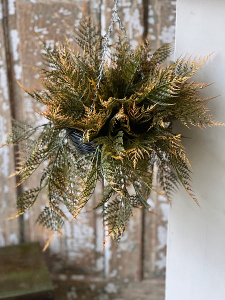 Claremont Hanging Basket | 20" | Fern