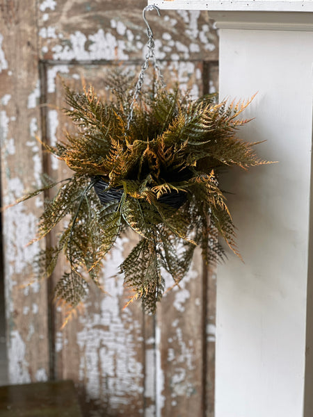 Claremont Hanging Basket | 20" | Fern