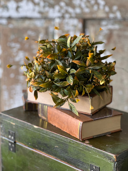 Burlington Leaves Half Sphere | 9" | SOLD OUT