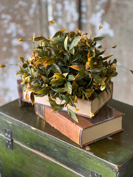 Burlington Leaves Half Sphere | 9" | SOLD OUT