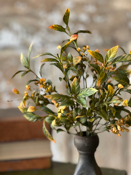 Burlington Leaves Bush | 12"