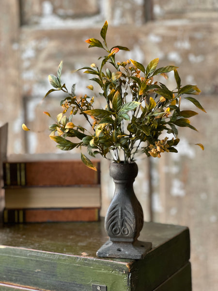 Burlington Leaves Bush | 12"