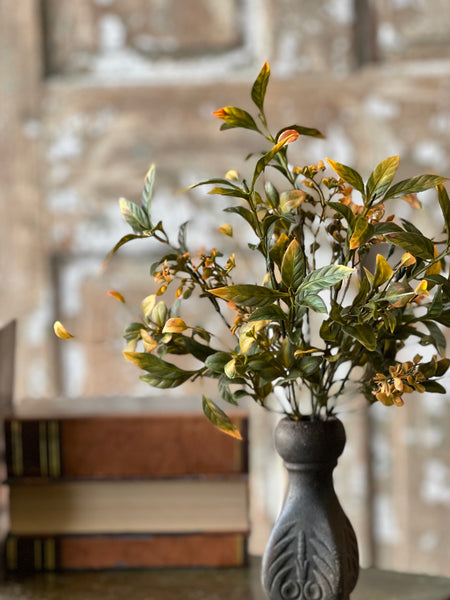 Burlington Leaves Bush | 12"