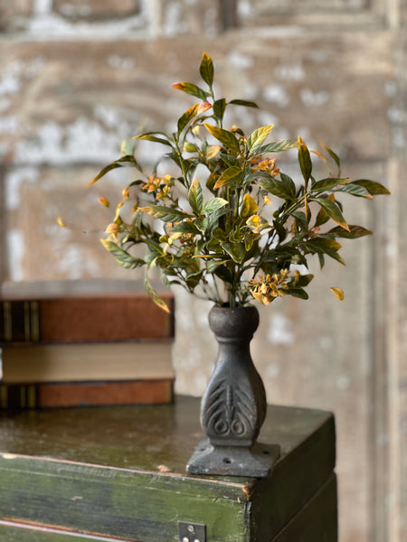 Burlington Leaves Bush | 12"