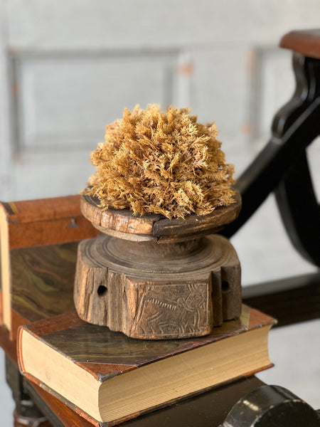 Sungold Half Sphere | 5" | SOLD OUT