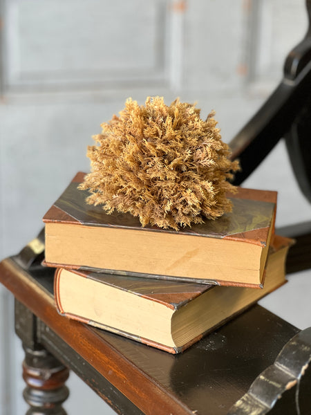 Sungold Half Sphere | 5" | SOLD OUT