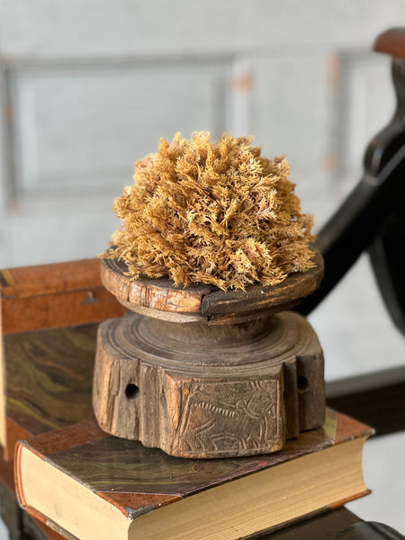 Sungold Half Sphere | 5" | SOLD OUT