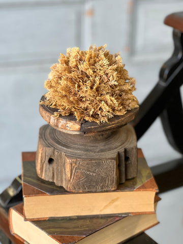 Sungold Half Sphere | 5" | SOLD OUT