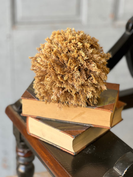 Sungold Half Sphere | 6" | SOLD OUT