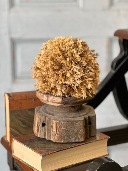 Sungold Half Sphere | 6" | SOLD OUT