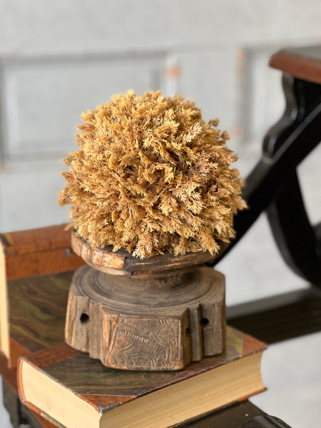 Sungold Half Sphere | 6" | SOLD OUT