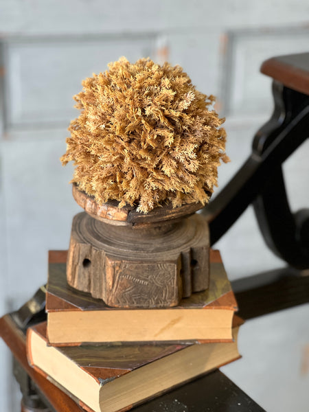 Sungold Half Sphere | 6" | SOLD OUT