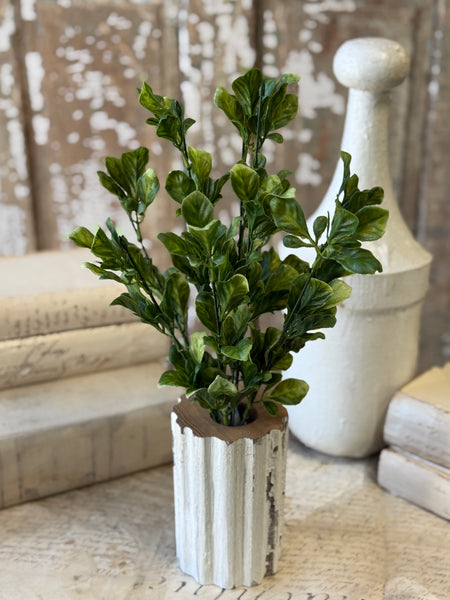 Dappled Leaves Bush | 18" | NOT CURRENTLY IN STOCK-New For Spring 2027!