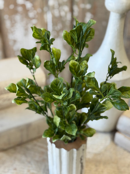Dappled Leaves Bush | 18" | NOT CURRENTLY IN STOCK-New For Spring 2027!