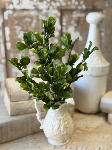 Dappled Leaves Bush | 18" | NOT CURRENTLY IN STOCK-New For Spring 2027!