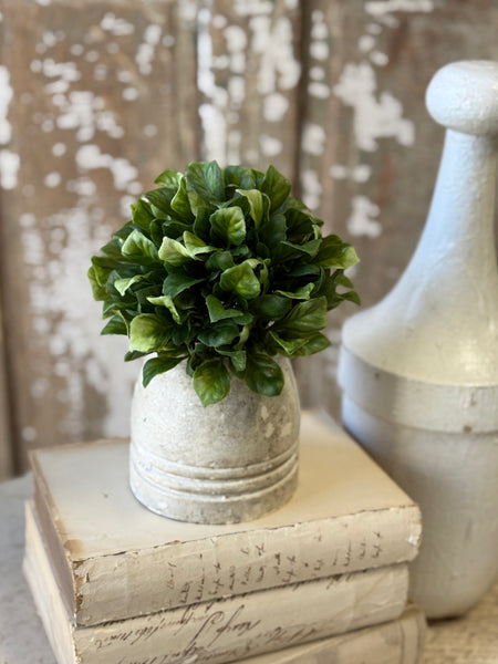Dappled Leaves Half Sphere | 6" | NOT CURRENTLY IN STOCK-New For Spring 2027!