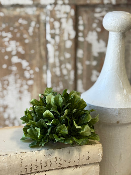 Dappled Leaves Half Sphere | 6" | NOT CURRENTLY IN STOCK-New For Spring 2027!