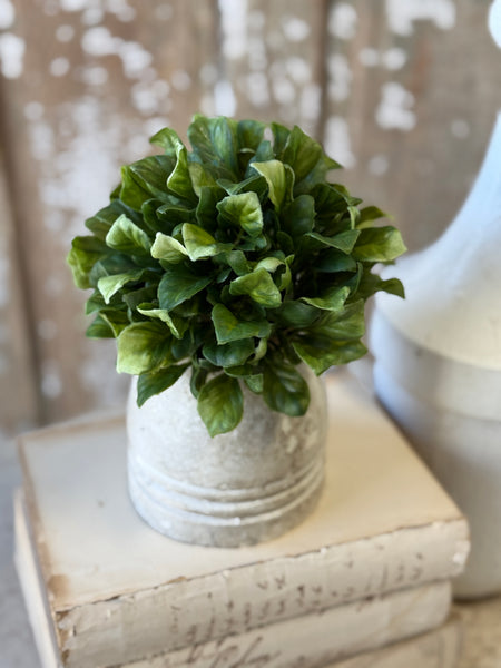 Dappled Leaves Half Sphere | 6" | NOT CURRENTLY IN STOCK-New For Spring 2027!