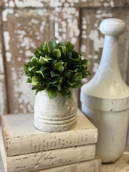 Dappled Leaves Half Sphere | 6" | NOT CURRENTLY IN STOCK-New For Spring 2027!