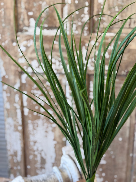 Hackney Grass Bush | 34" | NOT CURRENTLY IN STOCK-New For Spring 2027!