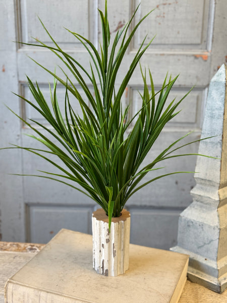 Harrow Grass Bush | 27" | NOT CURRENTLY IN STOCK-New For Spring 2027!
