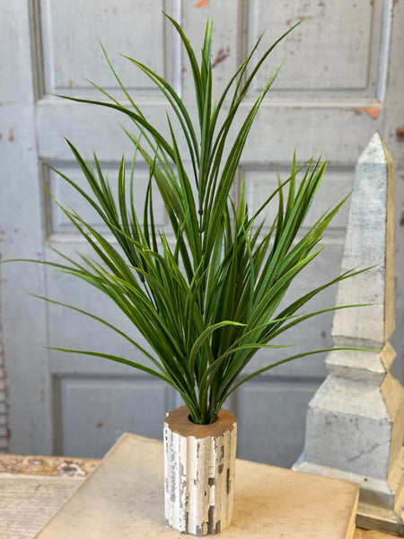 Harrow Grass Bush | 27" | NOT CURRENTLY IN STOCK-New For Spring 2027!