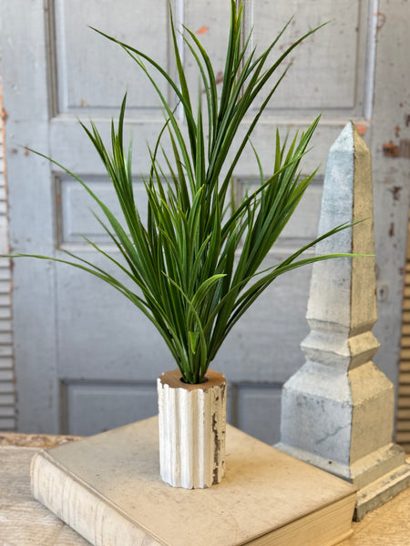 Harrow Grass Bush | 27" | NOT CURRENTLY IN STOCK-New For Spring 2027!