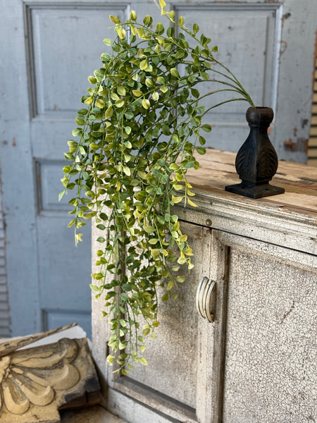 Gallantry Greens Hanging | 29" | NOT CURRENTLY IN STOCK-New For Spring 2027!