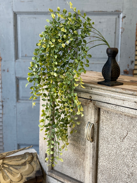 Gallantry Greens Hanging | 29" | NOT CURRENTLY IN STOCK-New For Spring 2027!