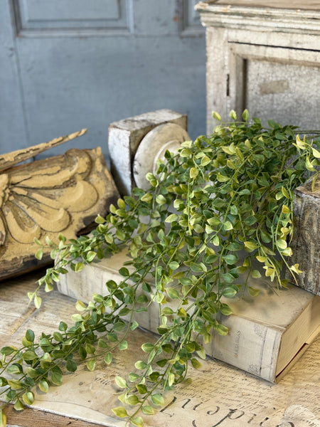 Gallantry Greens Hanging | 29" | NOT CURRENTLY IN STOCK-New For Spring 2027!