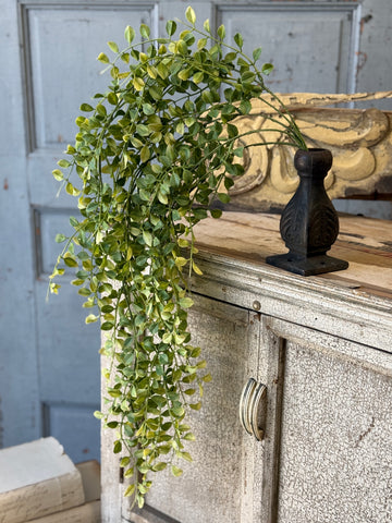 Gallantry Greens Hanging | 29" | NOT CURRENTLY IN STOCK-New For Spring 2027!