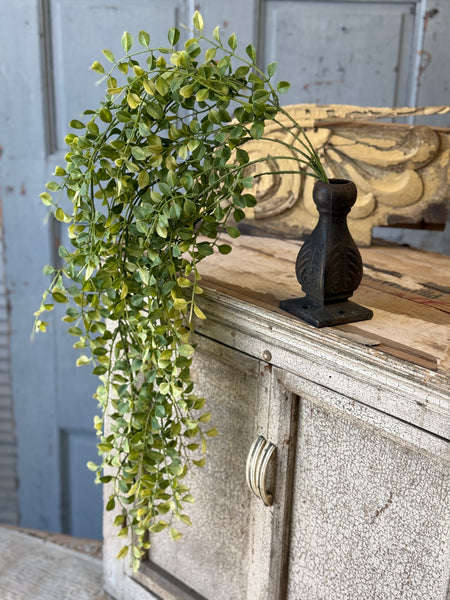 Gallantry Greens Hanging | 29" | NOT CURRENTLY IN STOCK-New For Spring 2027!